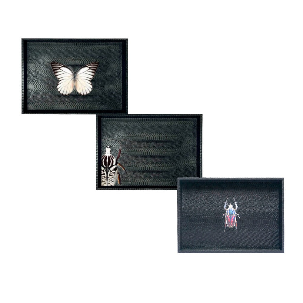 CHAROLA BURO NEGRO MATE