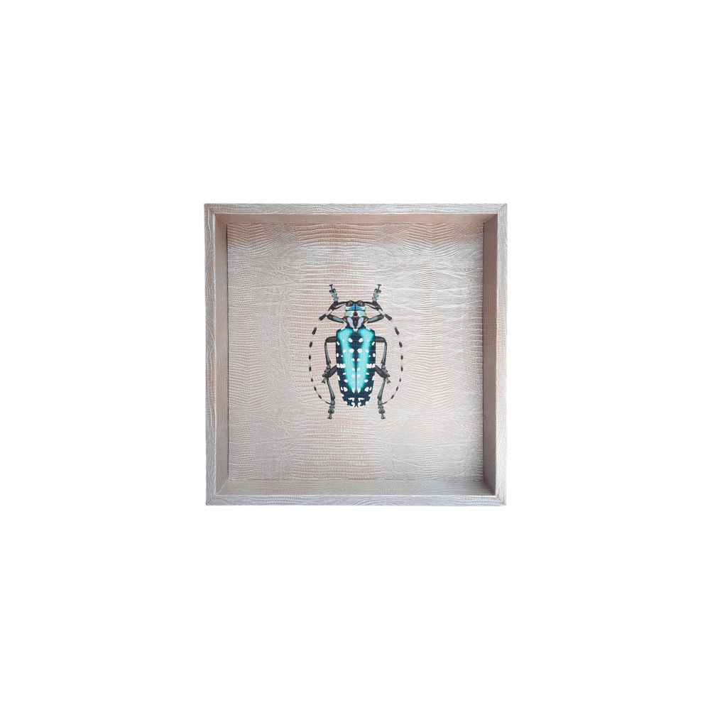 CHAROLA CUADRADA TEJUS PLATA BEIGE