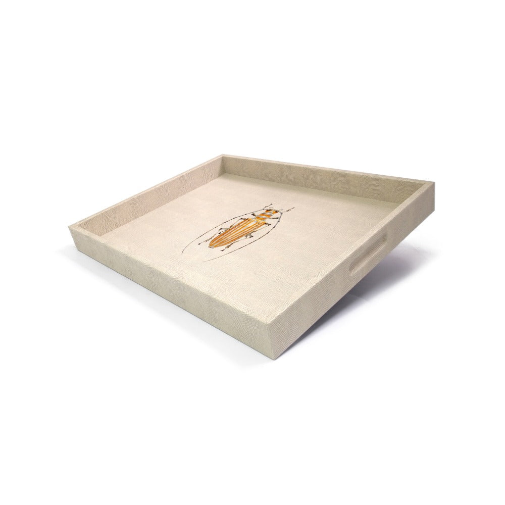 CHAROLA GRANDE RAYITAS CARNE