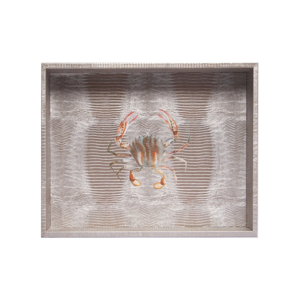 CHAROLA GRANDE TEJUS PLATA BEIGE