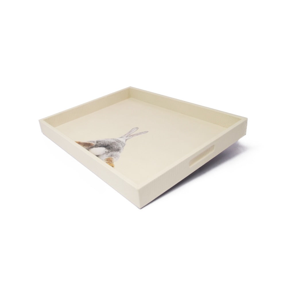 CHAROLA GRANDE CARNE ARMADILLO