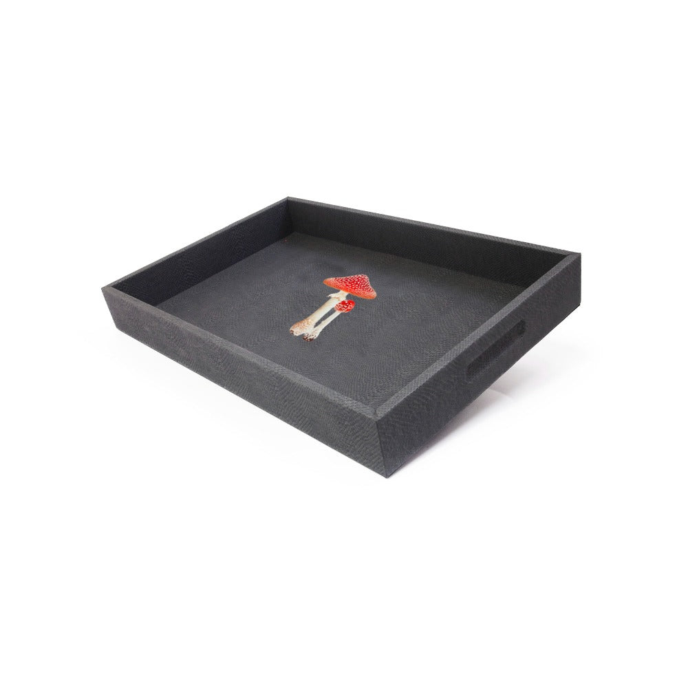 CHAROLA MEDIANA PAMPA