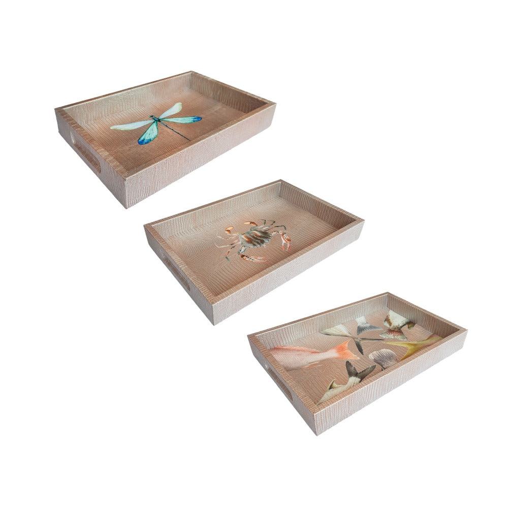 CHAROLA BURO TEJUS PLATA BEIGE