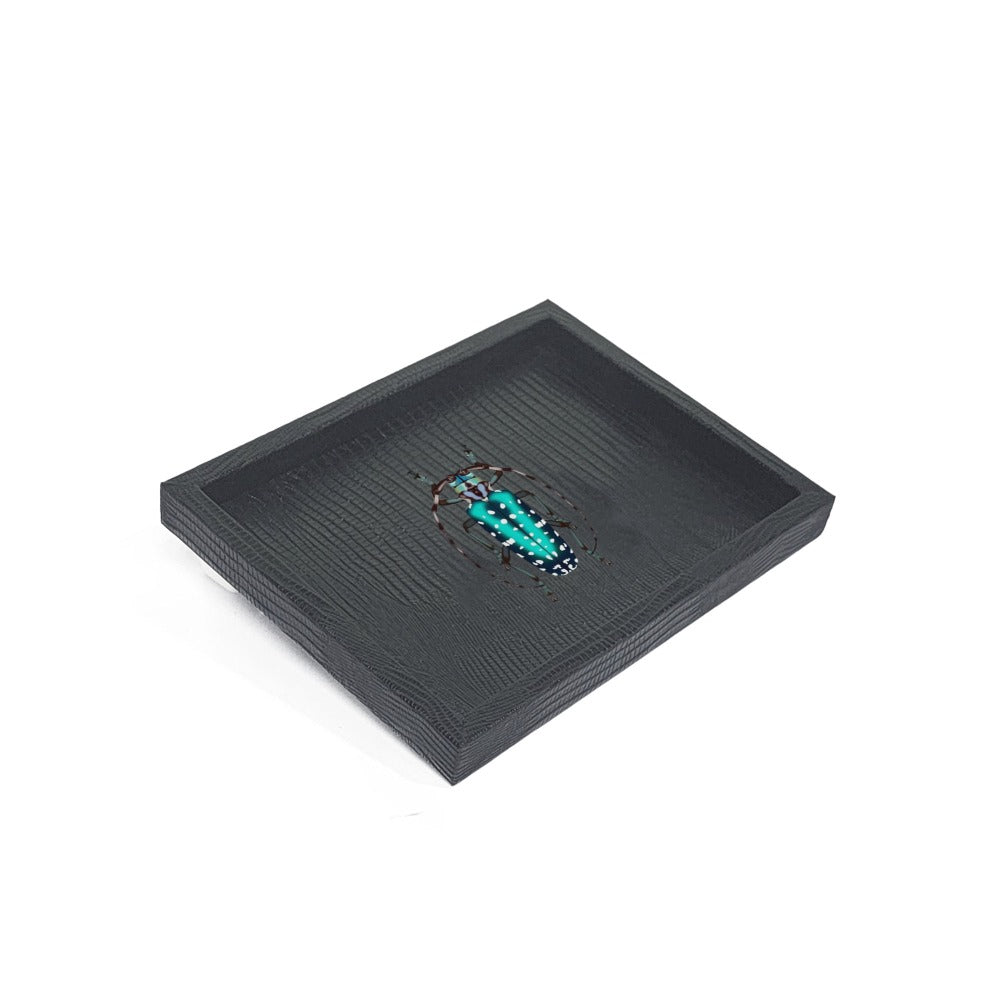 CHAROLA LADDU NEGRO ARMADILLO