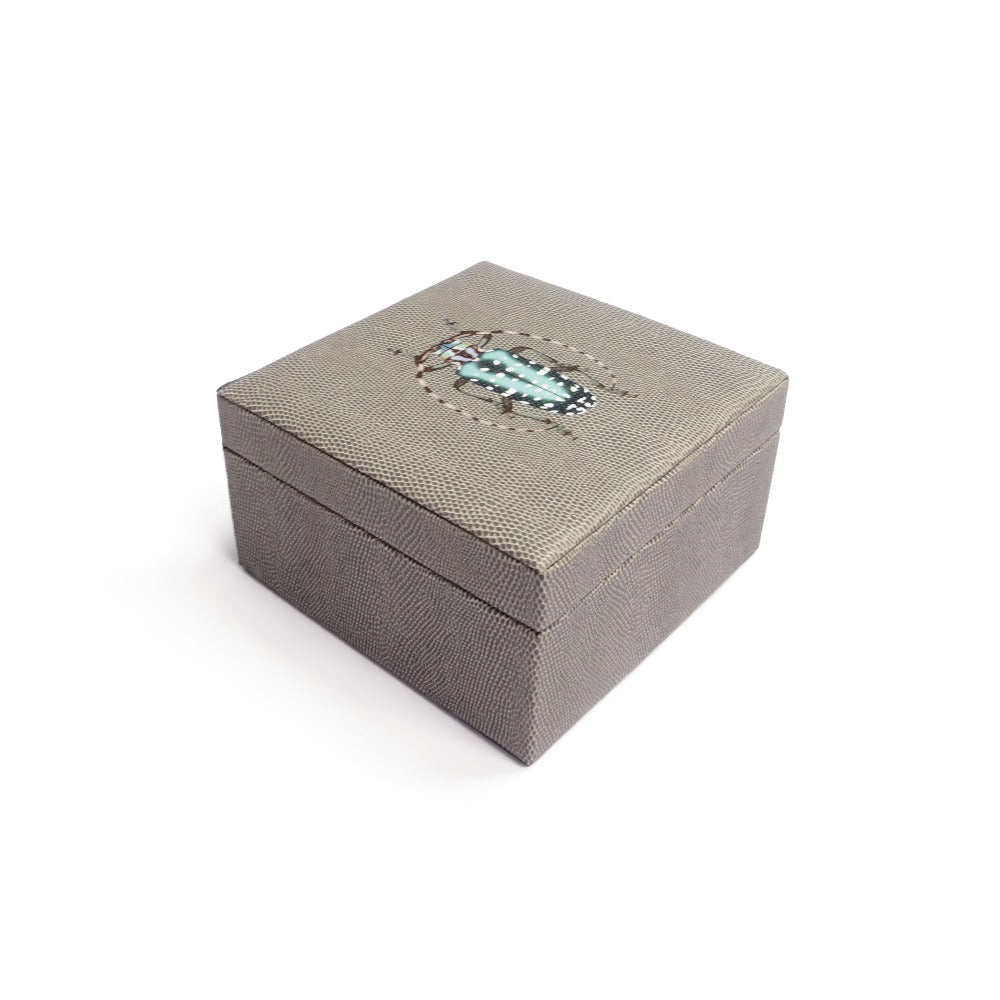 CAJA DE TE 4 REPTIL GRIS