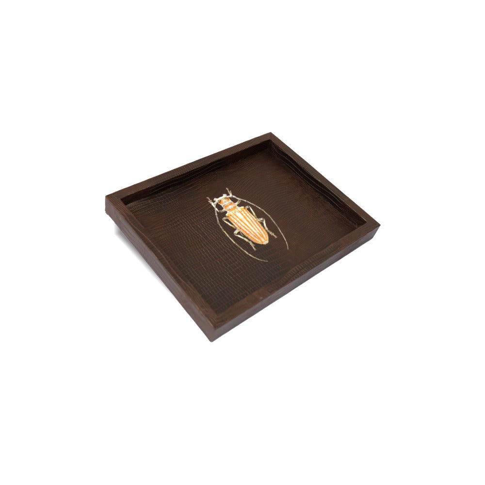 CHAROLA LADDU TABACO ARMADILLO