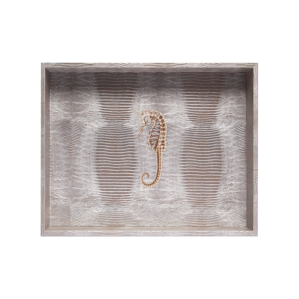 CHAROLA GRANDE TEJUS PLATA BEIGE