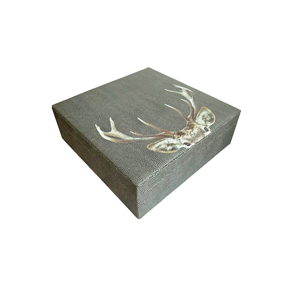 CAJA DECORATIVA GRANDE REPTIL GRIS