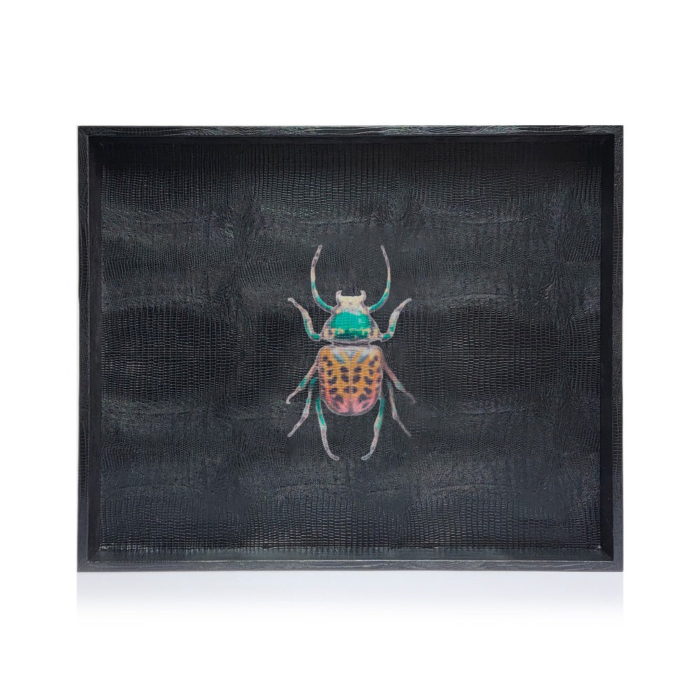 CHAROLA EXTRA GRANDE NEGRO ARMADILLO