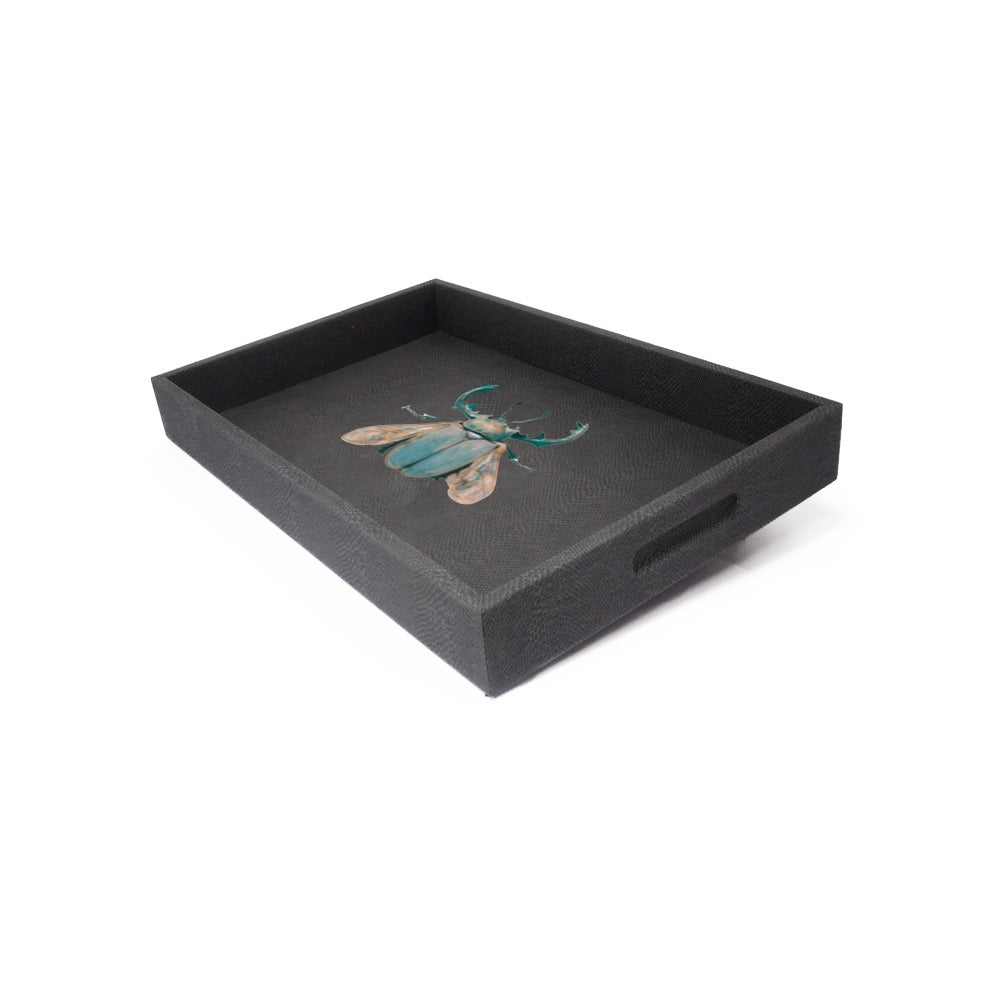 CHAROLA MEDIANA PAMPA