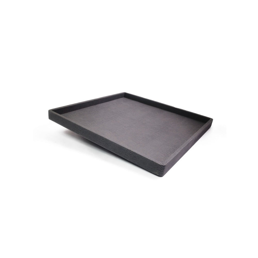 CHAROLA POLAROID GRANDE