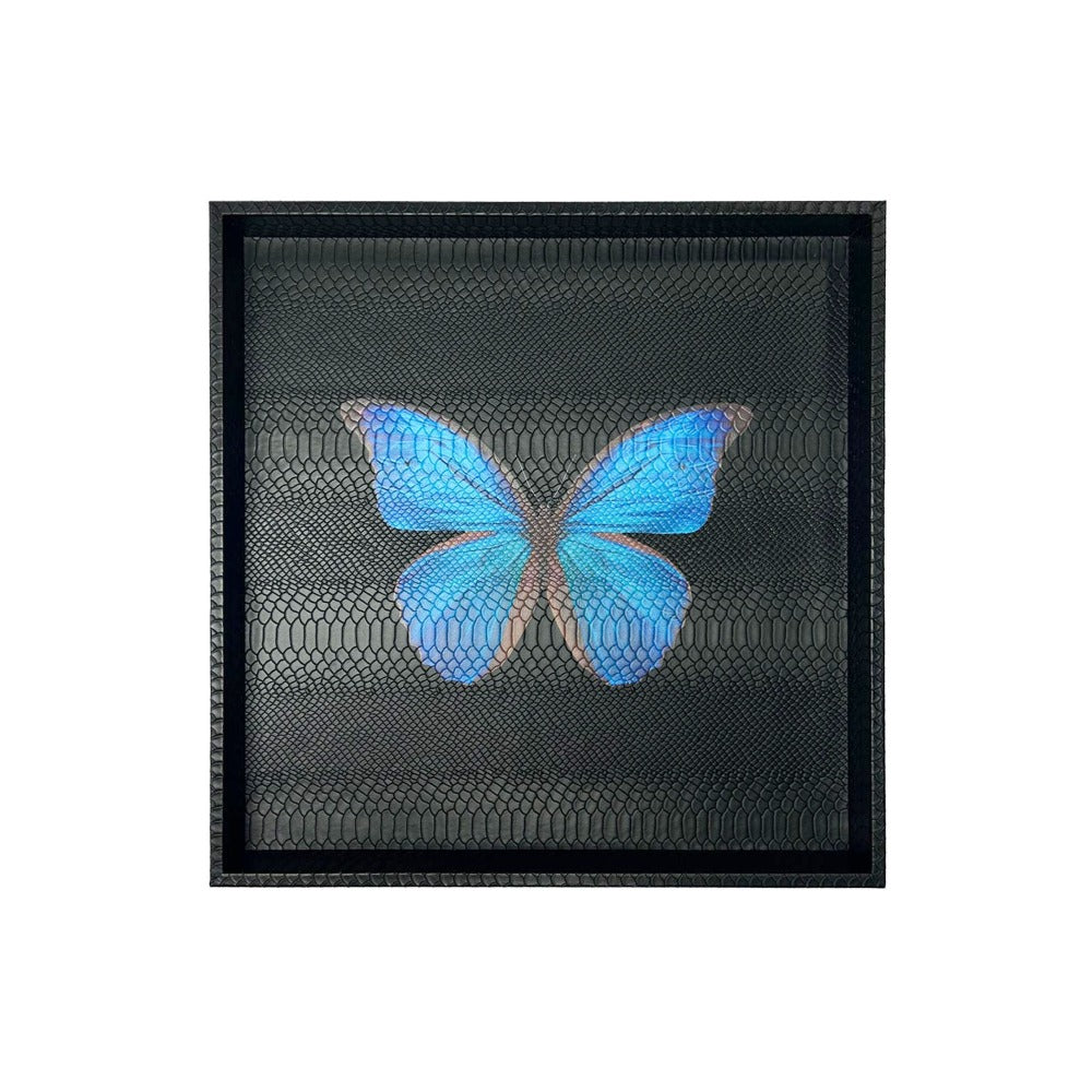 CHAROLA 50 X 50 NEGRO MATE