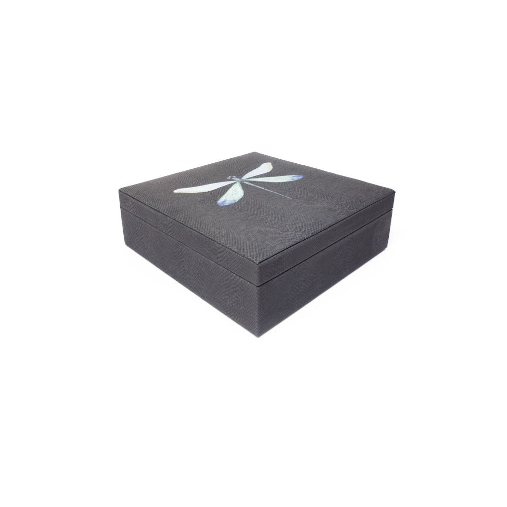 CAJA DE TE 9 PAMPA