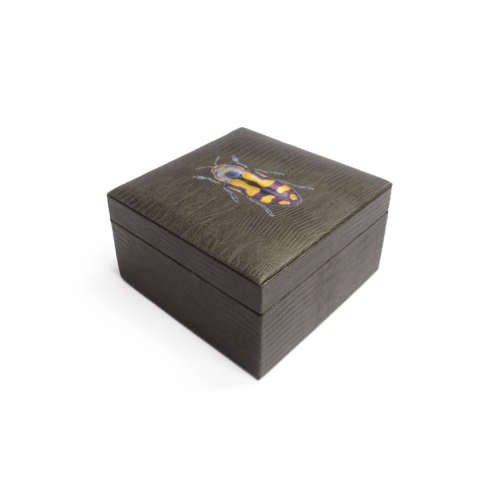 ARMADILLO GREY 4 TEA BOX