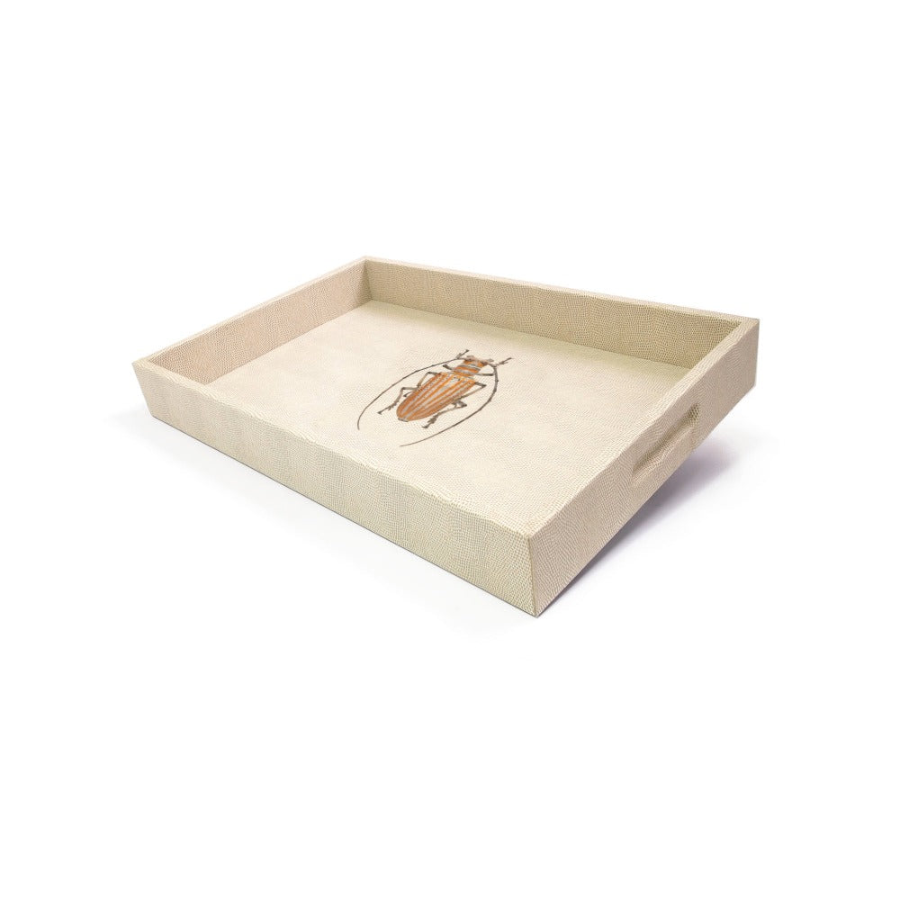 CHAROLA MEDIANA RAYITAS CARNE