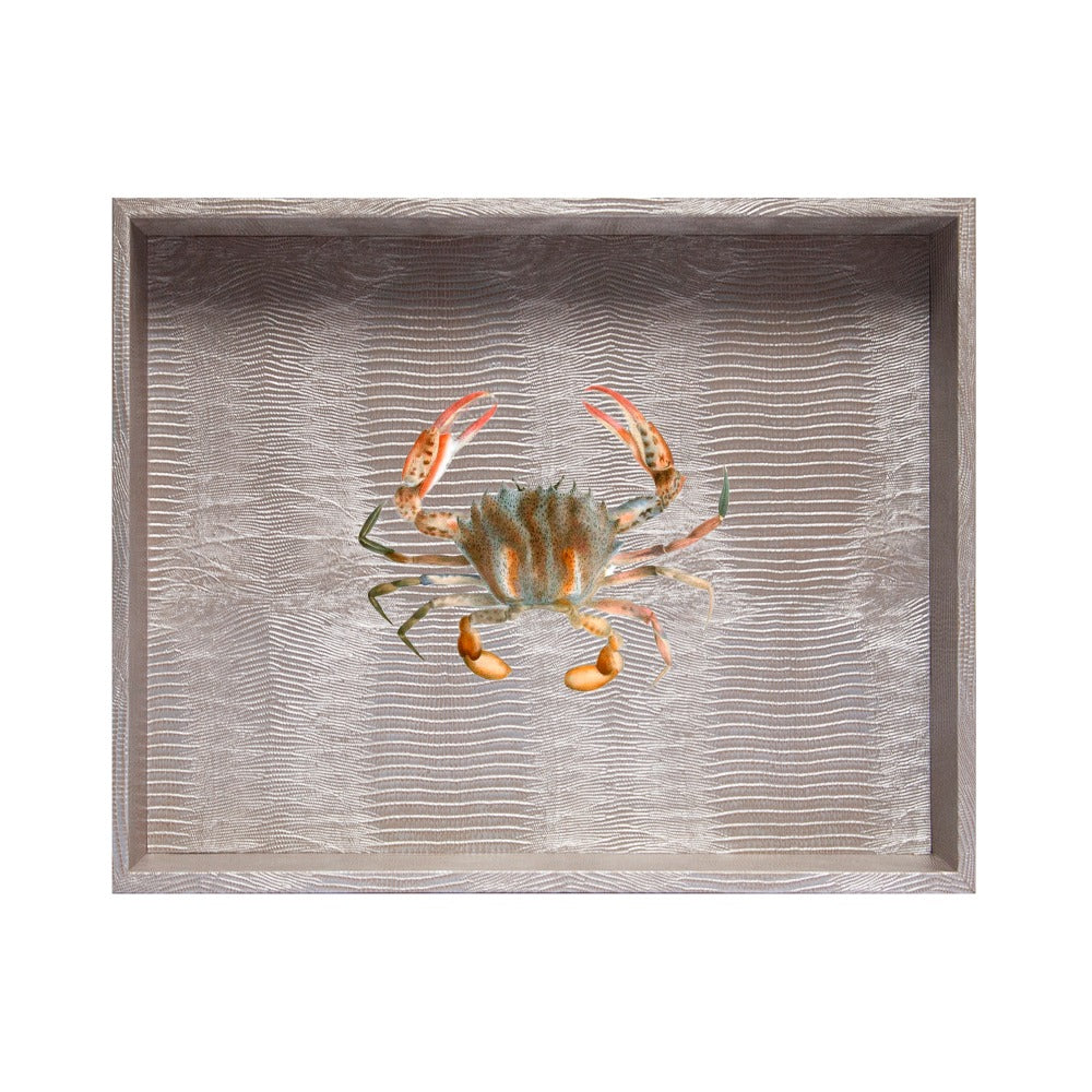 CHAROLA EXTRA GRANDE TEJUS PLATA BEIGE