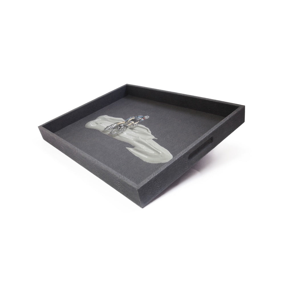 CHAROLA GRANDE PAMPA TAY XACUR