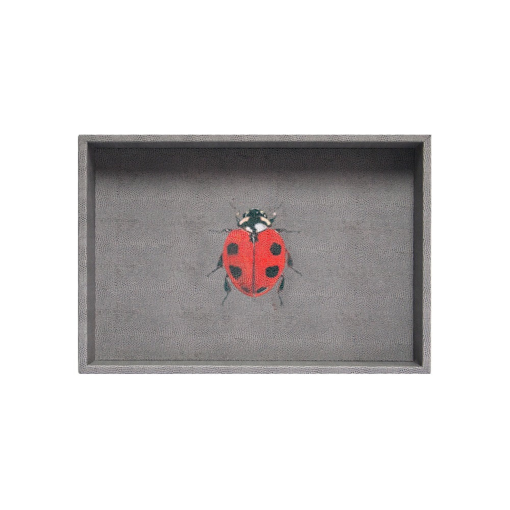 CHAROLA MEDIANA REPTIL GRIS