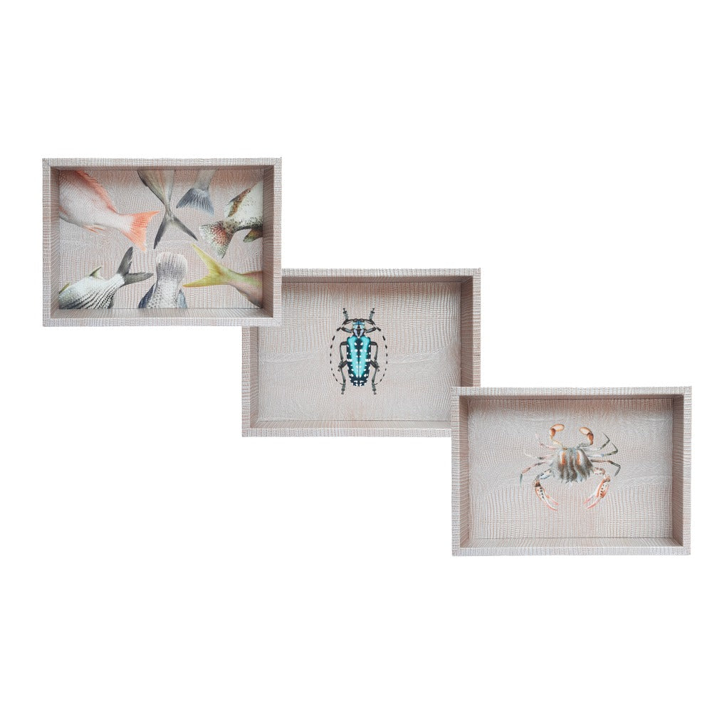 CHAROLA BURO TEJUS PLATA BEIGE