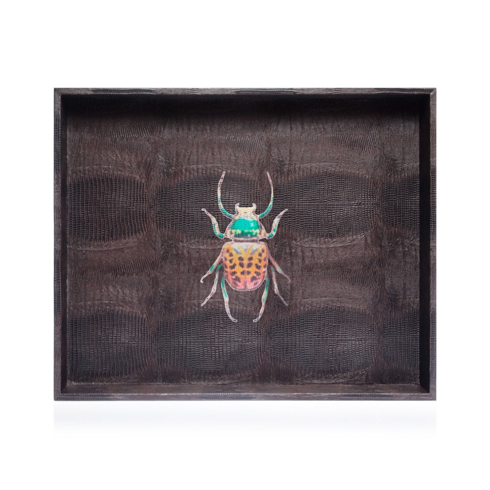 CHAROLA EXTRA GRANDE TABACO ARMADILLO