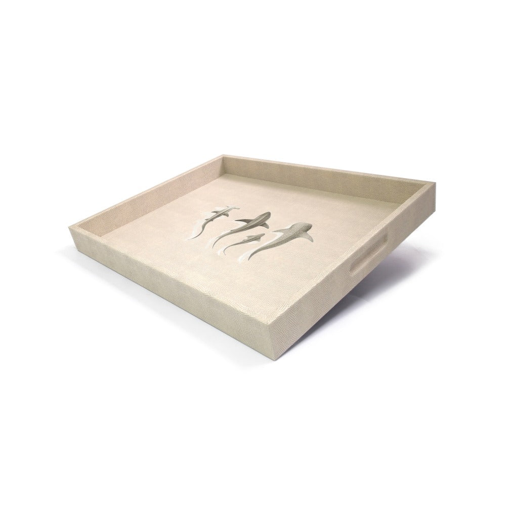 CHAROLA GRANDE RAYITAS CARNE