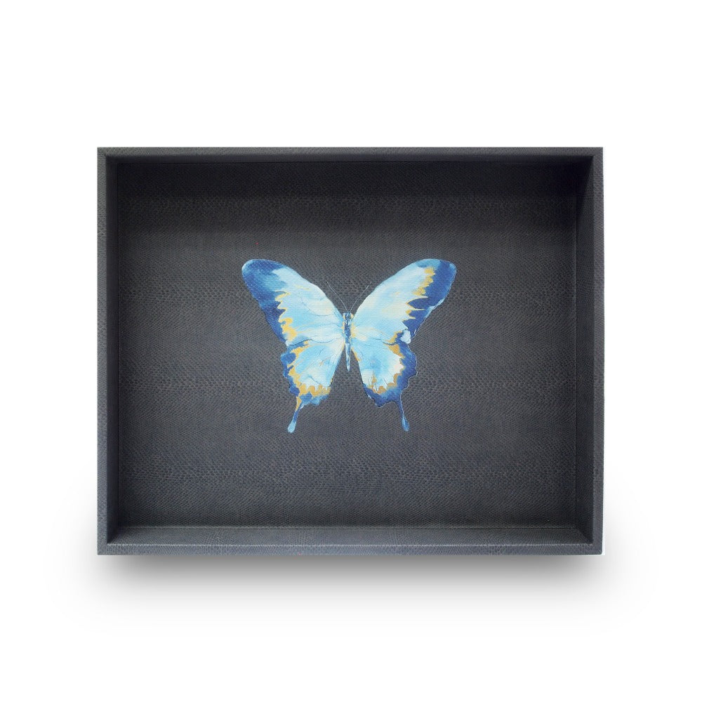 CHAROLA GRANDE PAMPA