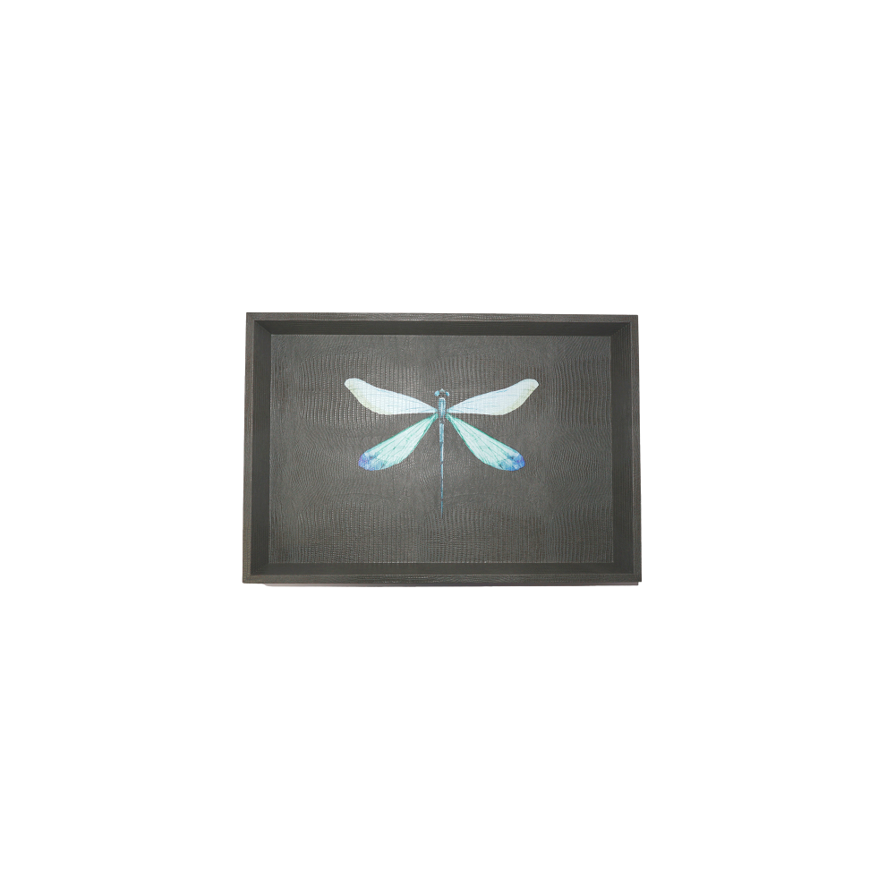 CHAROLA BURO GRIS ARMADILLO