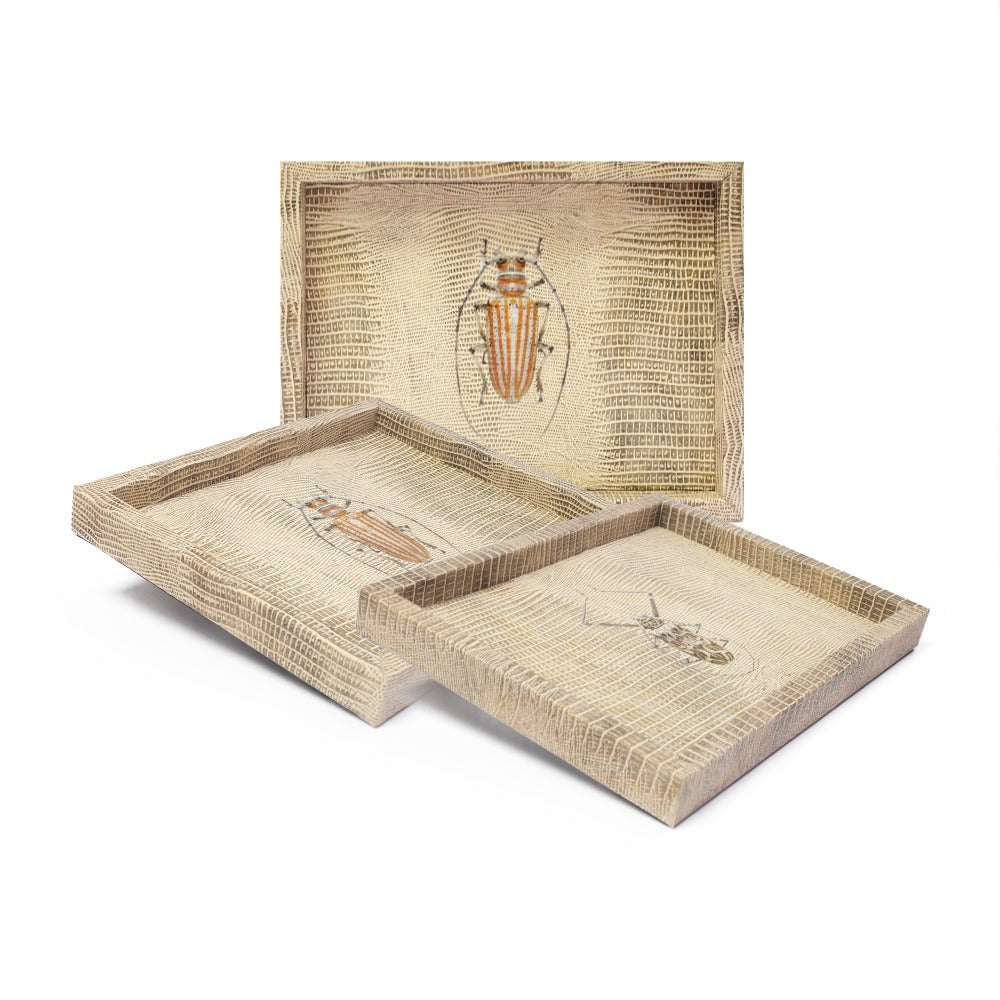 CHAROLA LADDU TEJUS CLARO