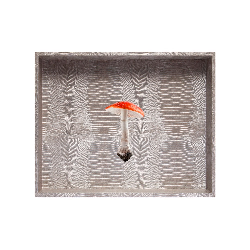 CHAROLA GRANDE TEJUS PLATA BEIGE
