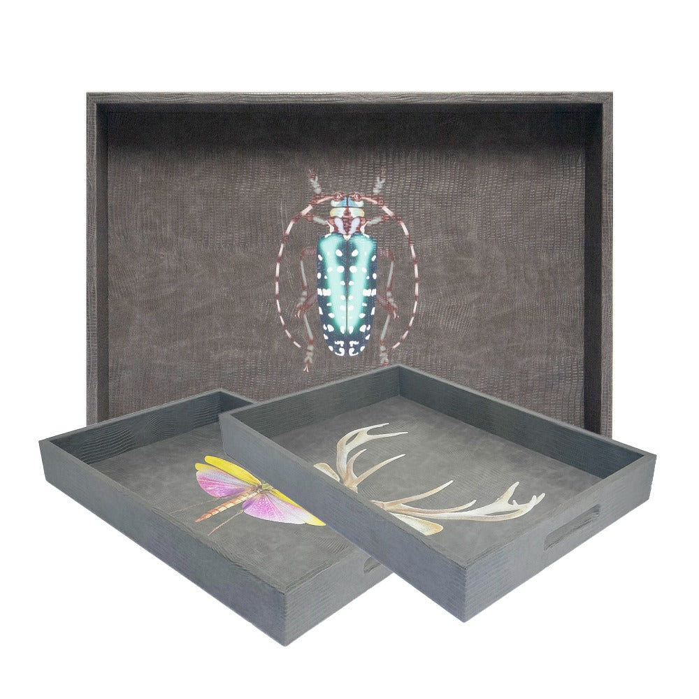 CHAROLA EXTRA GRANDE GRIS ARMADILLO