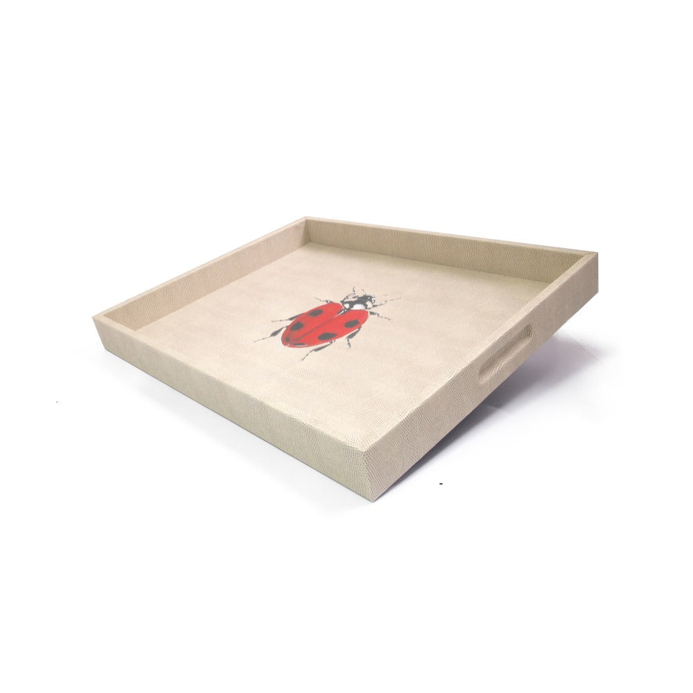 CHAROLA GRANDE RAYITAS CARNE