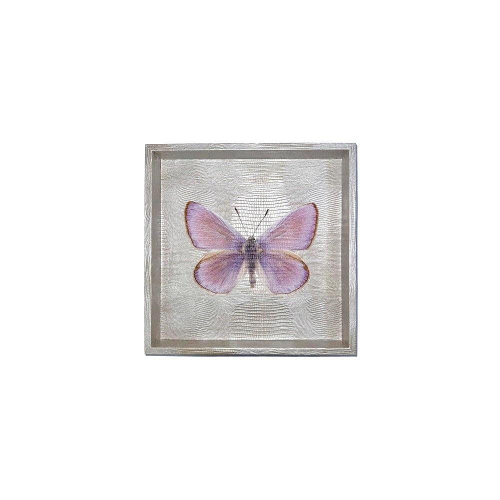 CHAROLA 15 X 15 TEJUS PLATA BEIGE