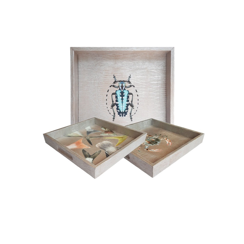 CHAROLA CUADRADA TEJUS PLATA BEIGE