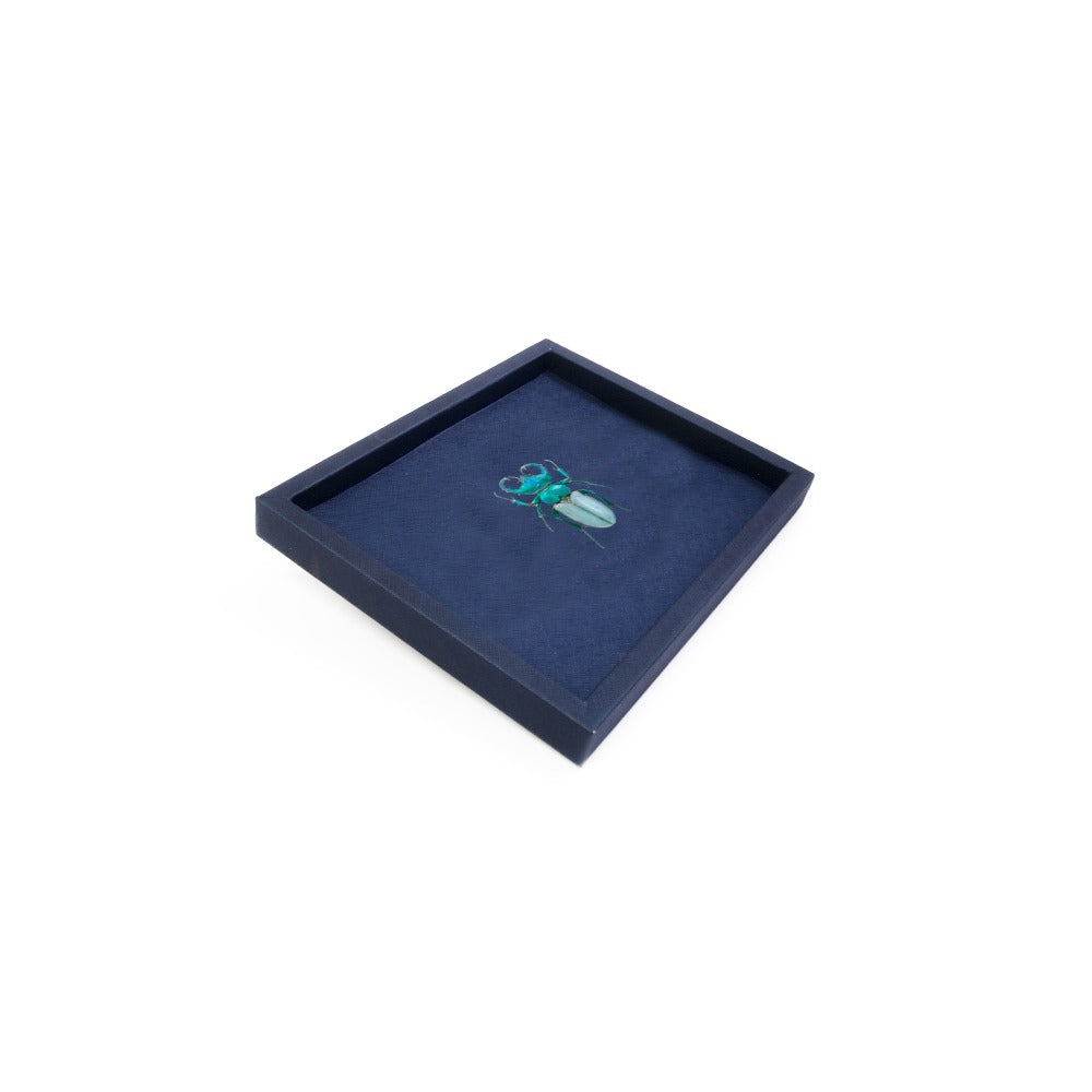 CHAROLA LADDU FORRO AZUL MEDIO