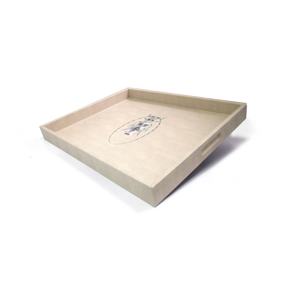 CHAROLA GRANDE RAYITAS CARNE