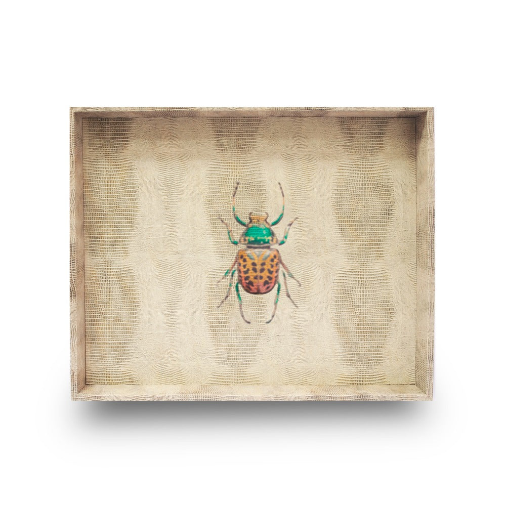 CHAROLA GRANDE TEJUS CLARO