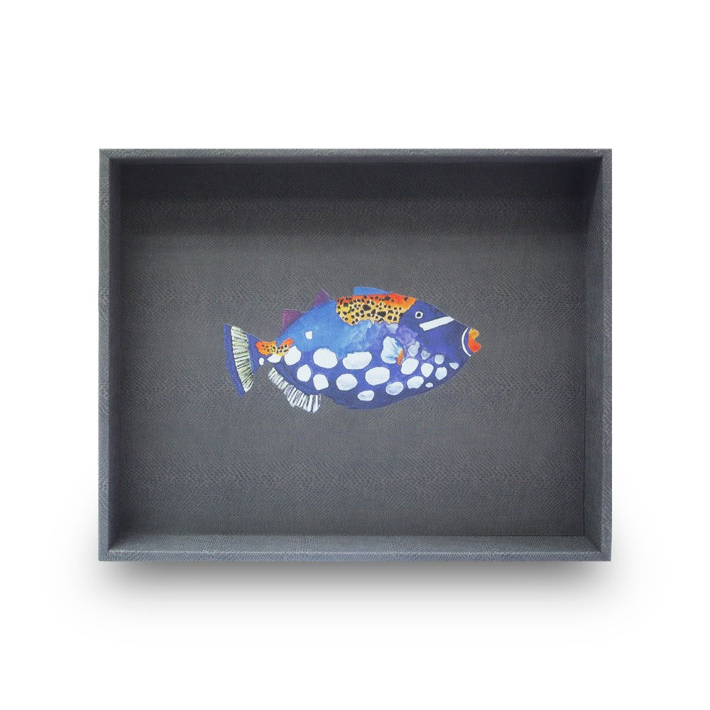 CHAROLA GRANDE PAMPA