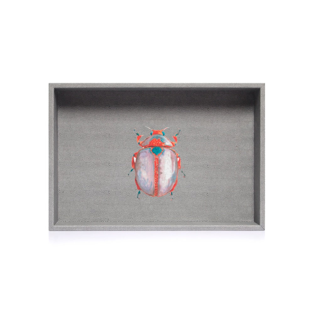 CHAROLA MEDIANA REPTIL GRIS