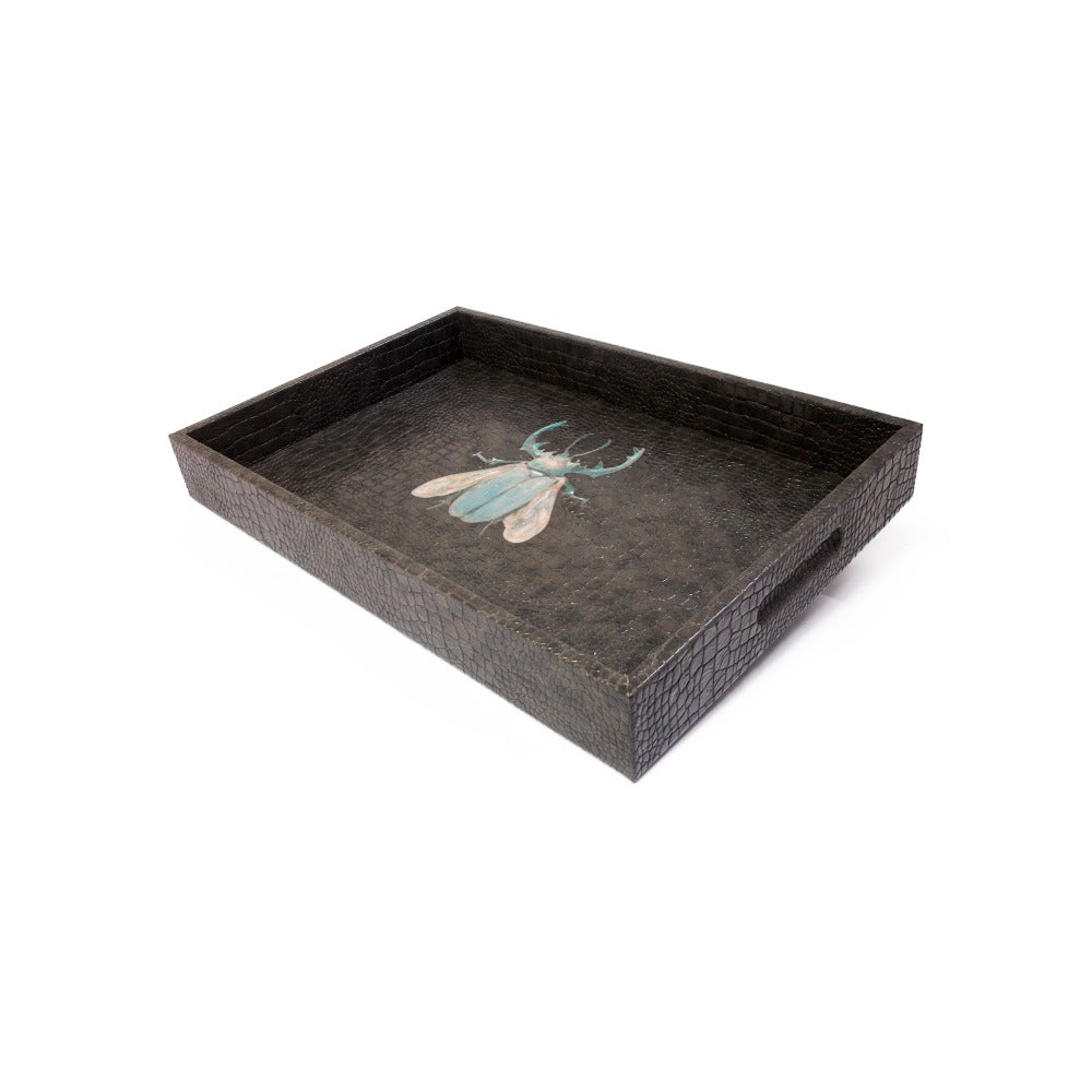 CHAROLA MEDIANA WOMAN HUMO