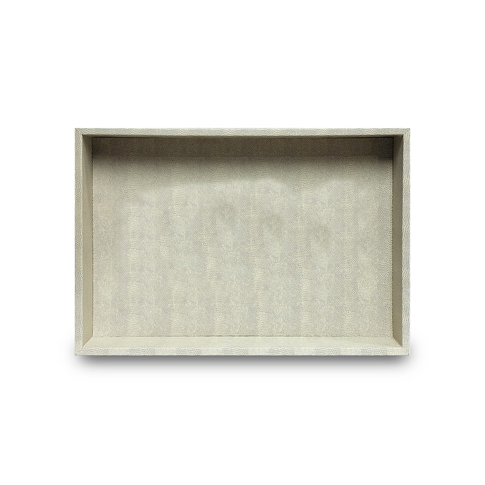 CHAROLA MEDIANA LISO