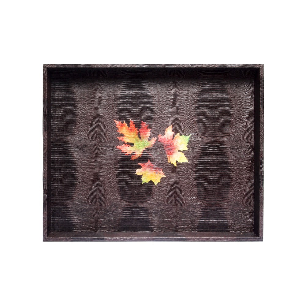 CHAROLA GRANDE TABACO ARMADILLO