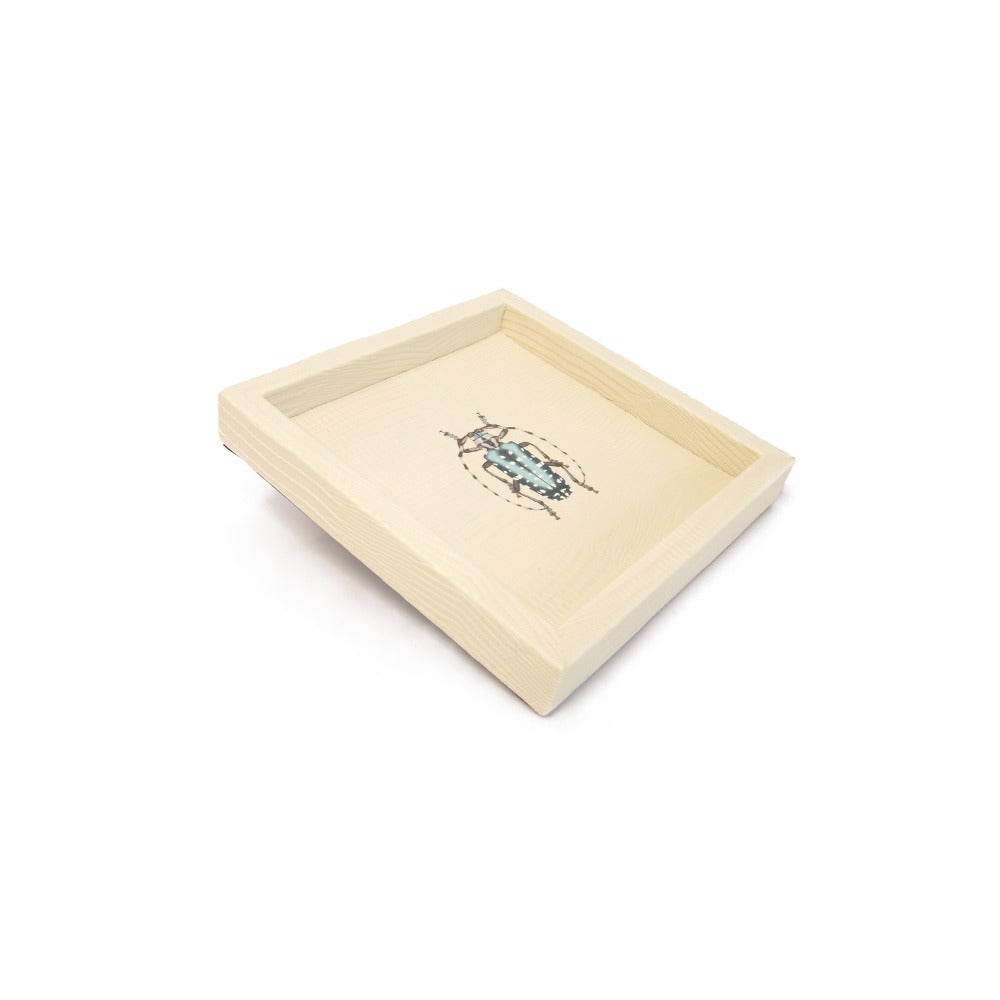 CHAROLA 15 X 15 CARNE ARMADILLO