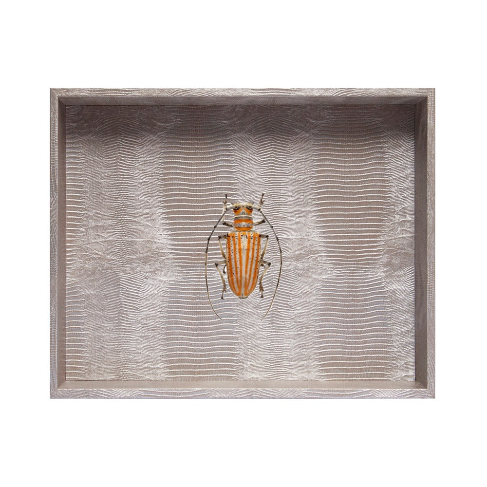 CHAROLA EXTRA GRANDE TEJUS PLATA BEIGE