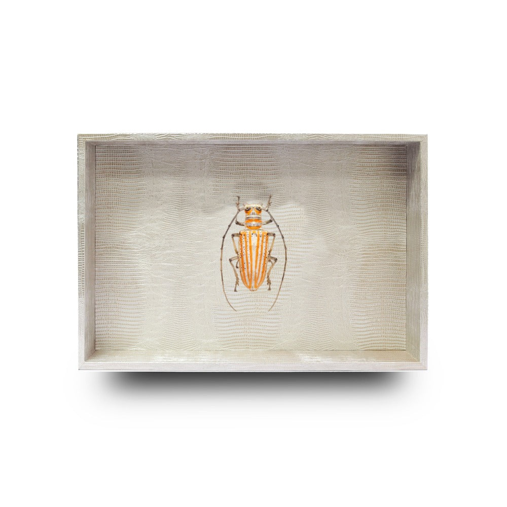 CHAROLA MEDIANA TEJUS PLATA BEIGE