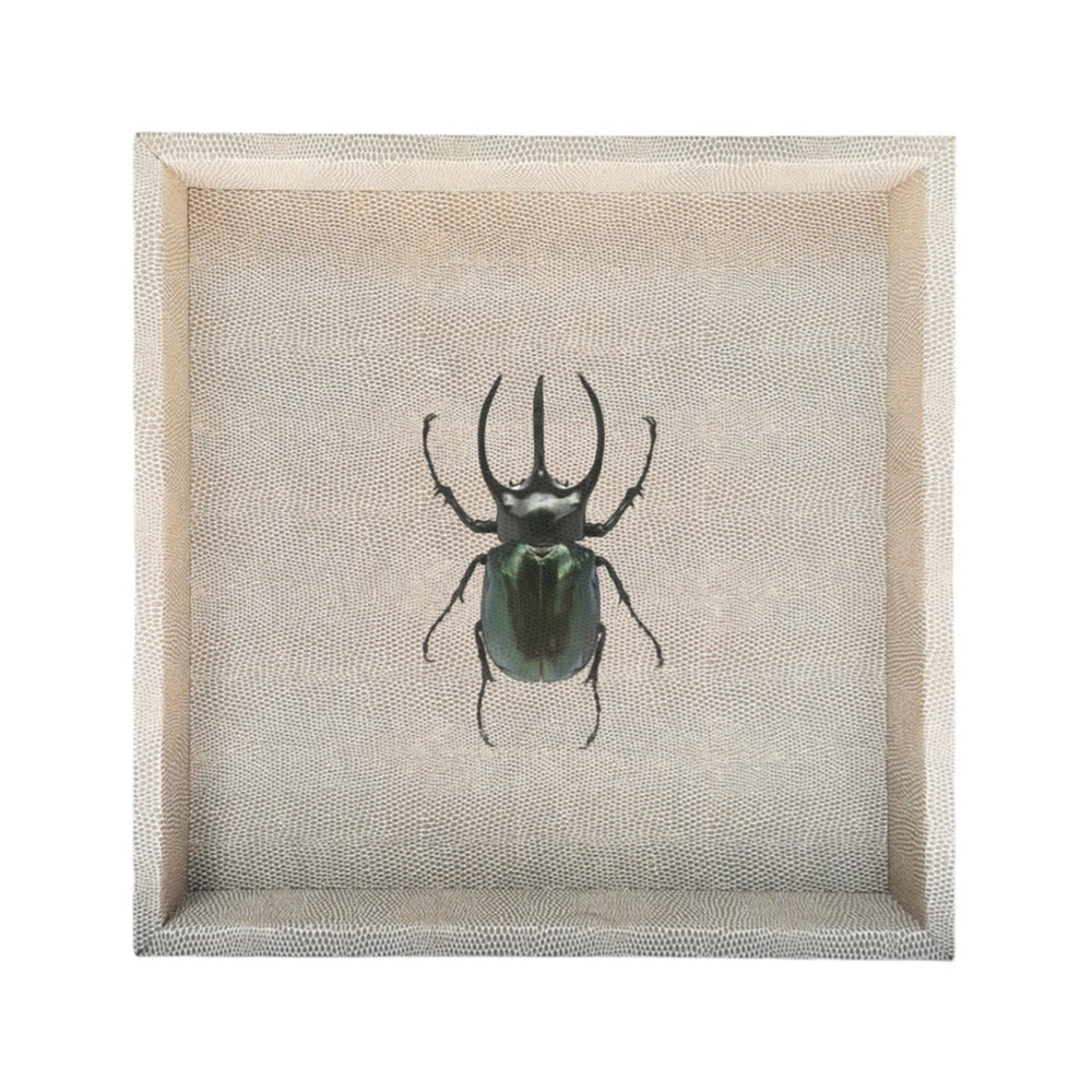 CHAROLA 40 X 40 RAYITAS CARNE