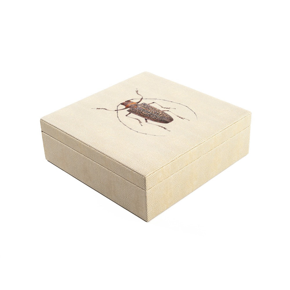 CAJA DE TE 9 RAYITAS CARNE
