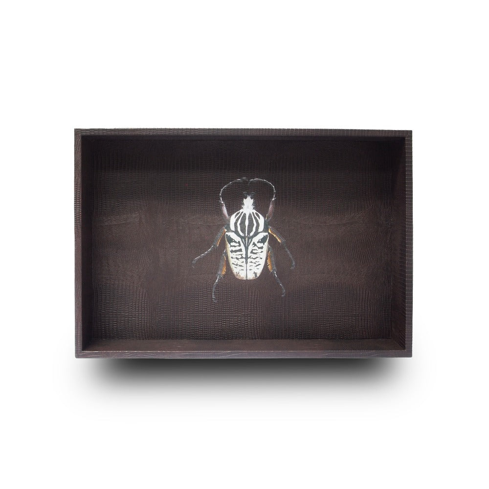 CHAROLA MEDIANA TABACO ARMADILLO