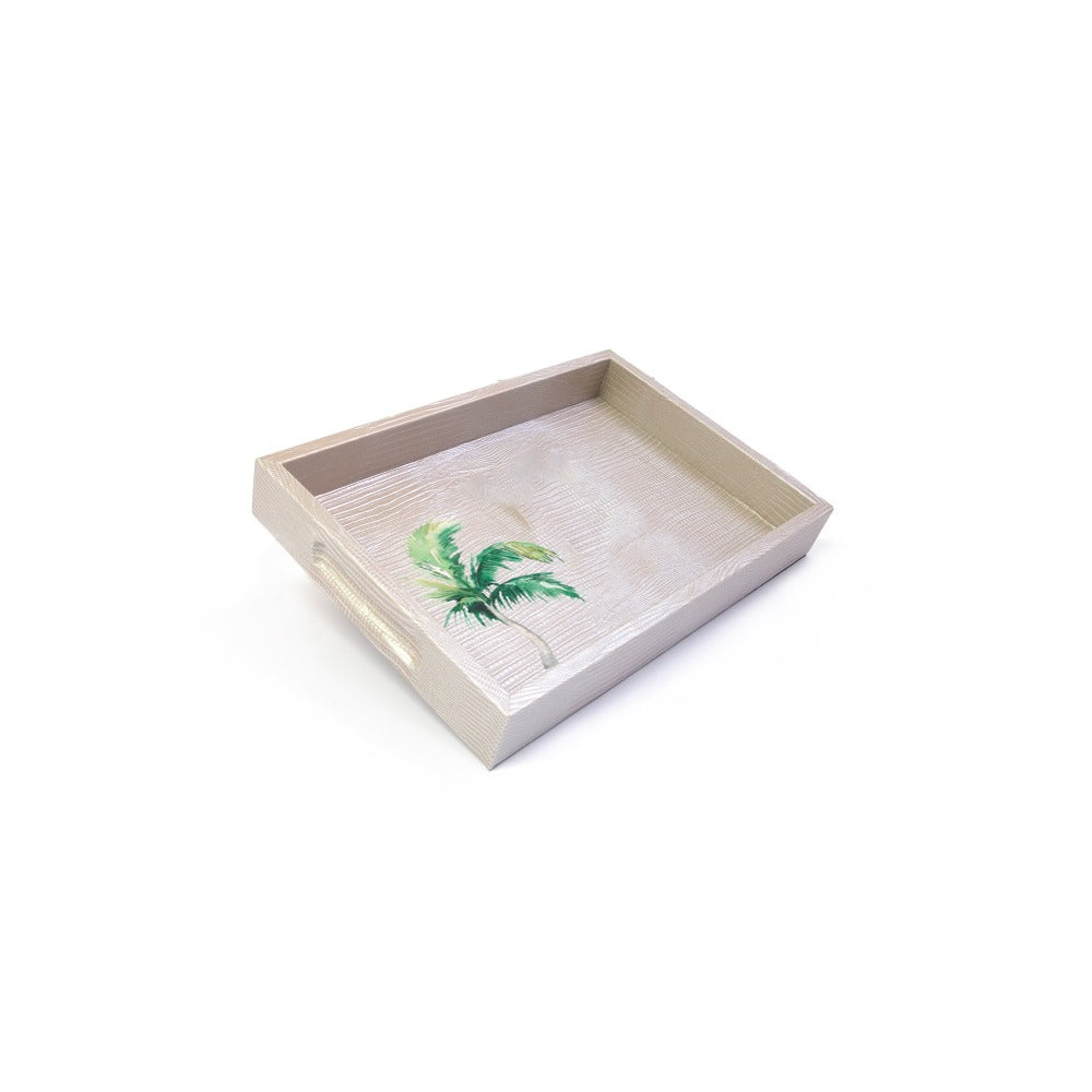 CHAROLA BURO TEJUS PLATA BEIGE