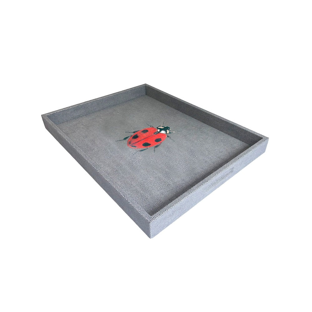 CHAROLA GRANDE REPTIL GRIS