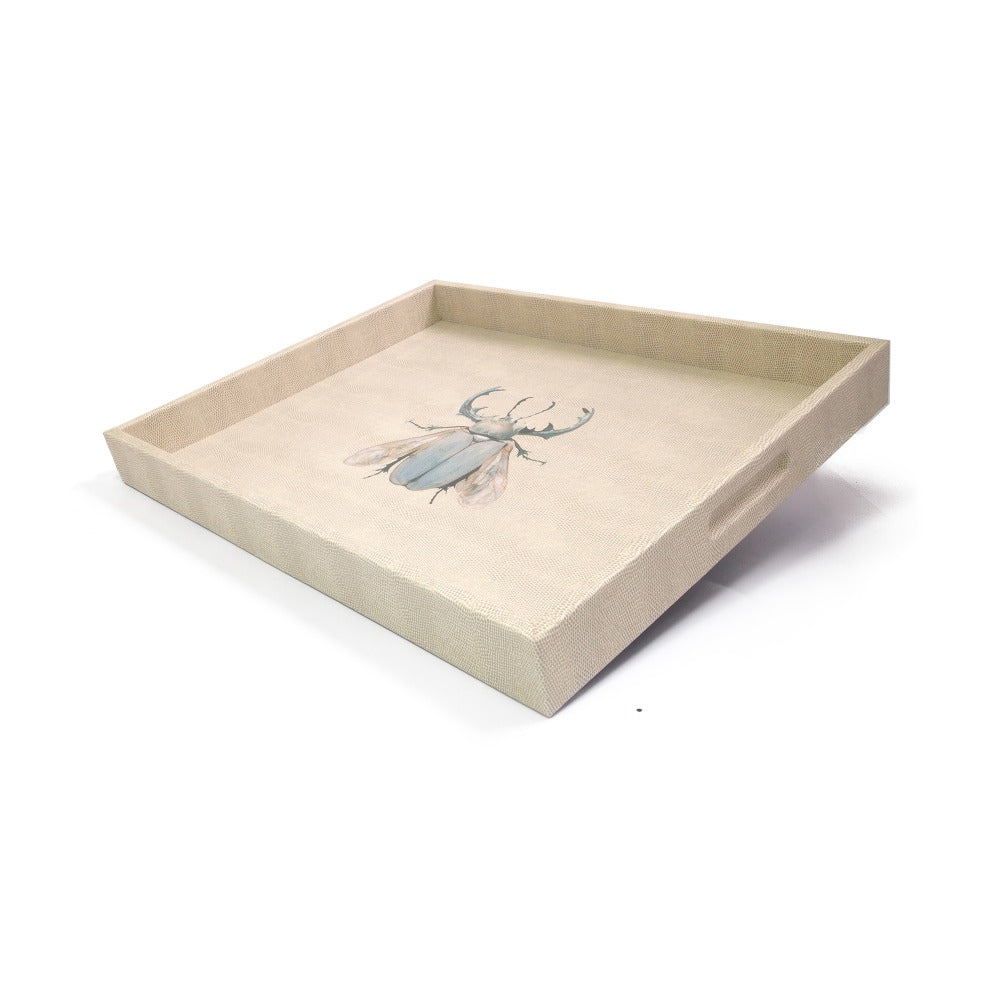 CHAROLA EXTRA GRANDE RAYITAS CARNE